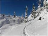 Koča pri Savici - Planina Lopučnica